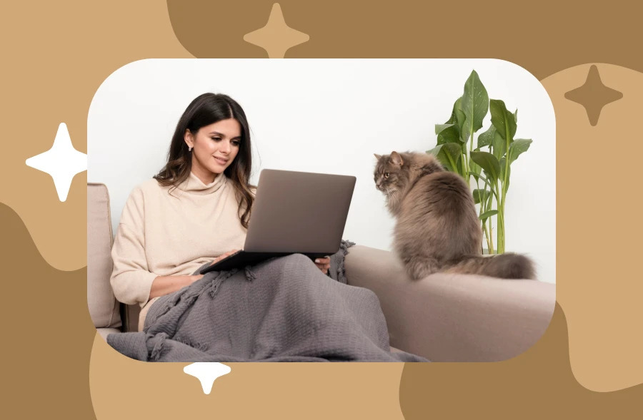 electronic cat toy