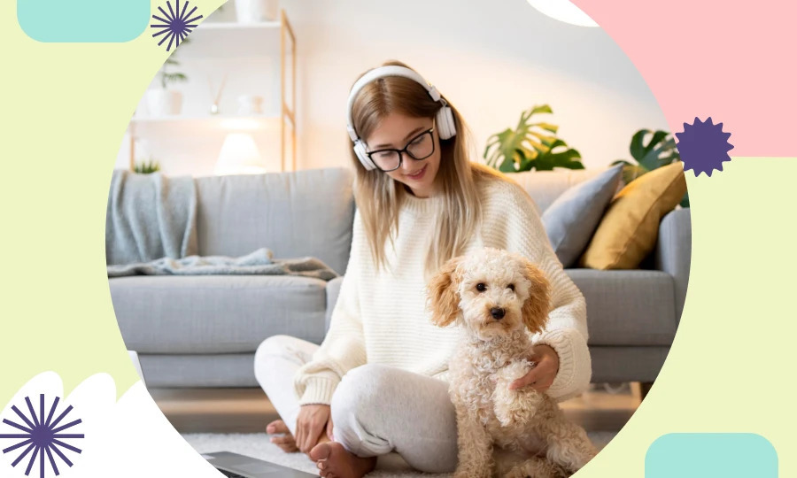 hair brush for pets